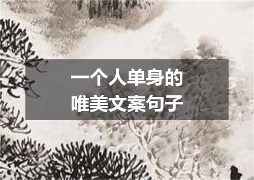 一个人单身的唯美文案句子