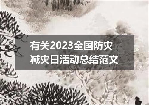 有关2023全国防灾减灾日活动总结范文