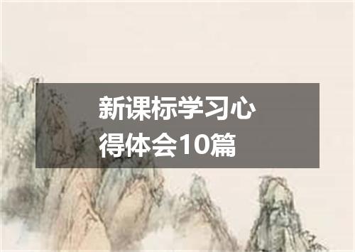 新课标学习心得体会10篇