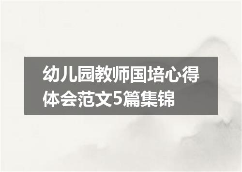 幼儿园教师国培心得体会范文5篇集锦