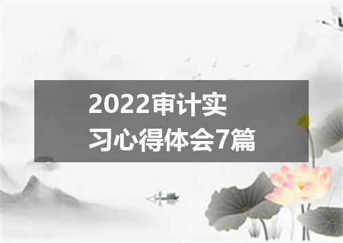 2022审计实习心得体会7篇