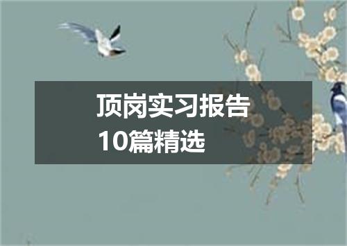 顶岗实习报告10篇精选