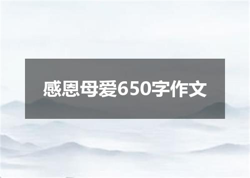 感恩母爱650字作文