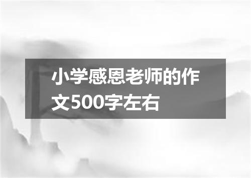 小学感恩老师的作文500字左右