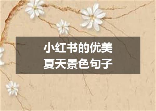 小红书的优美夏天景色句子