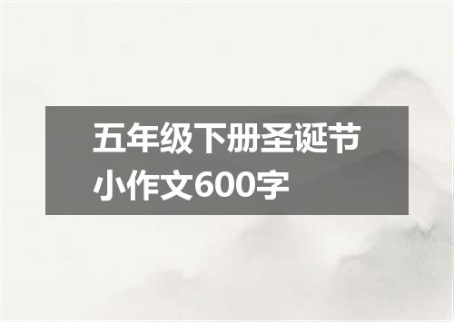 五年级下册圣诞节小作文600字