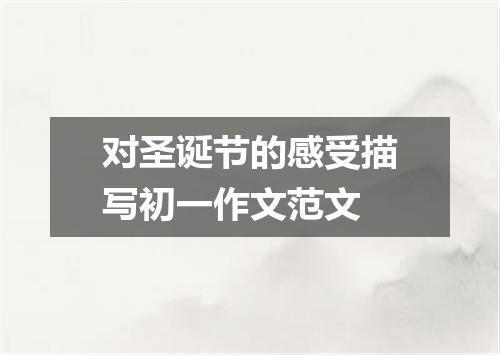 对圣诞节的感受描写初一作文范文