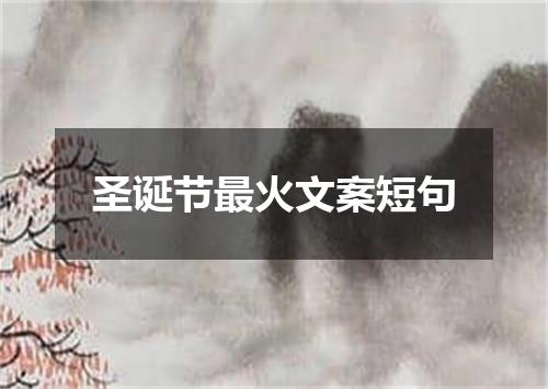 圣诞节最火文案短句