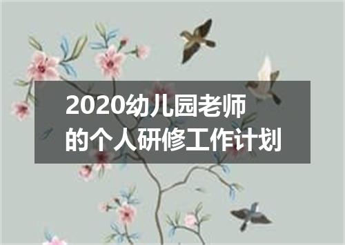 2020幼儿园老师的个人研修工作计划