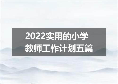 2022实用的小学教师工作计划五篇