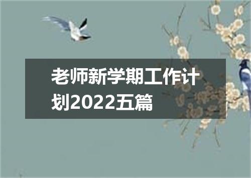 老师新学期工作计划2022五篇