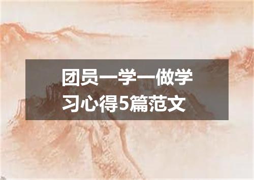 团员一学一做学习心得5篇范文