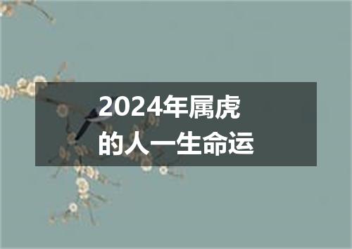 2024年属虎的人一生命运