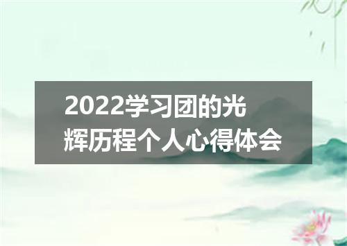 2022学习团的光辉历程个人心得体会