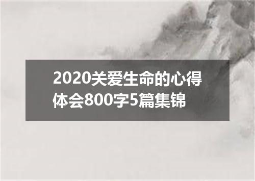 2020关爱生命的心得体会800字5篇集锦