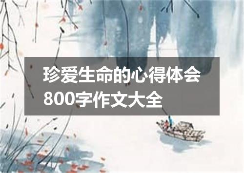 珍爱生命的心得体会800字作文大全