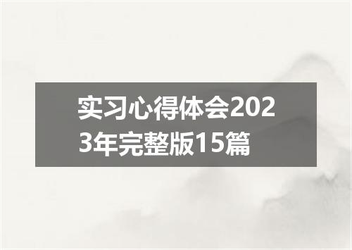 实习心得体会2023年完整版15篇