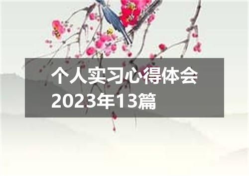 个人实习心得体会2023年13篇