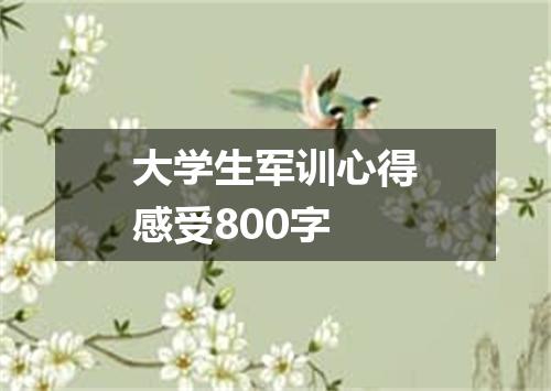 大学生军训心得感受800字