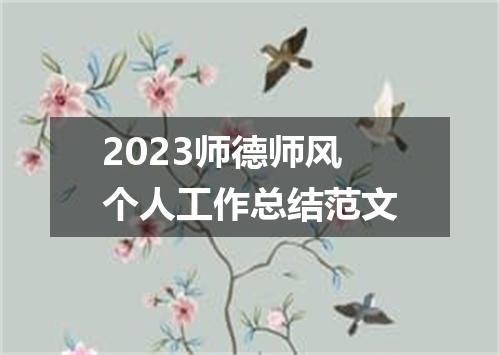 2023师德师风个人工作总结范文