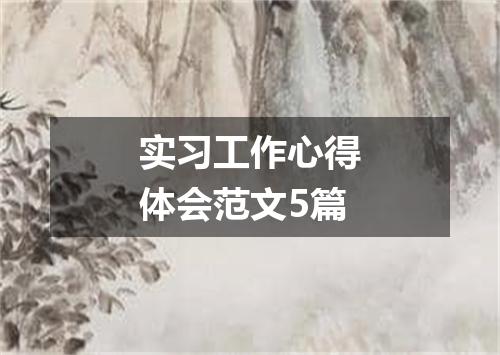 实习工作心得体会范文5篇