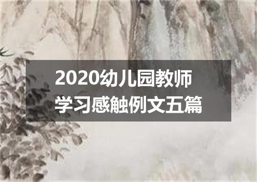2020幼儿园教师学习感触例文五篇