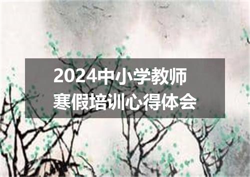 2024中小学教师寒假培训心得体会