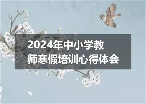 2024年中小学教师寒假培训心得体会