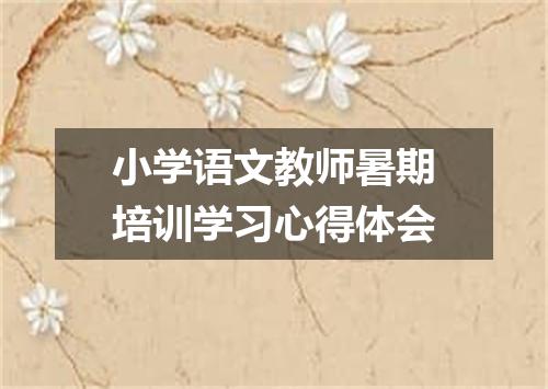 小学语文教师暑期培训学习心得体会
