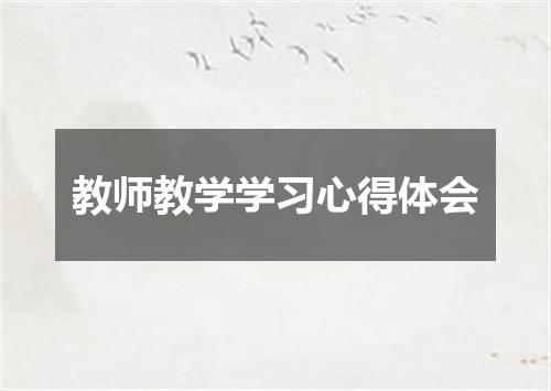 教师教学学习心得体会