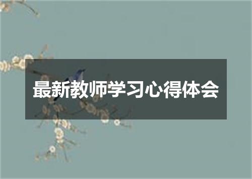 最新教师学习心得体会