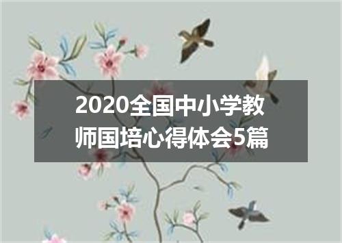 2020全国中小学教师国培心得体会5篇
