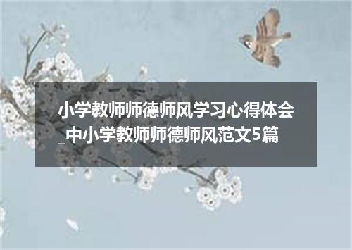 小学教师师德师风学习心得体会_中小学教师师德师风范文5篇