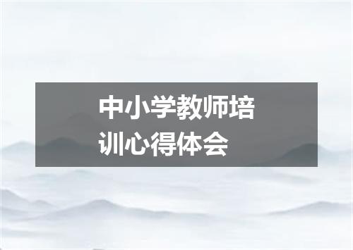 中小学教师培训心得体会