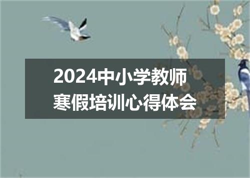 2024中小学教师寒假培训心得体会