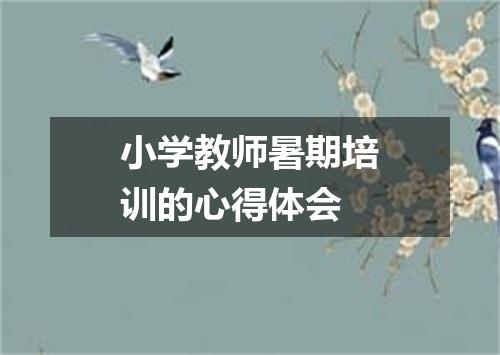 小学教师暑期培训的心得体会