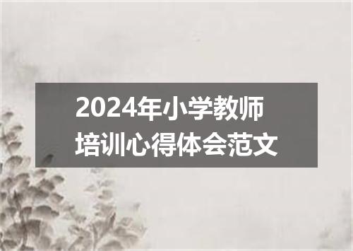 2024年小学教师培训心得体会范文