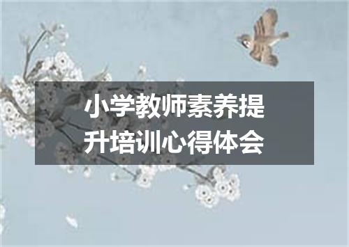 小学教师素养提升培训心得体会
