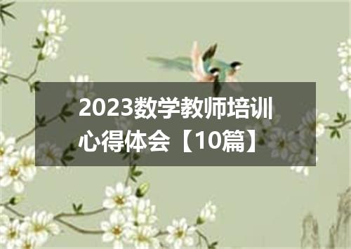 2023数学教师培训心得体会【10篇】