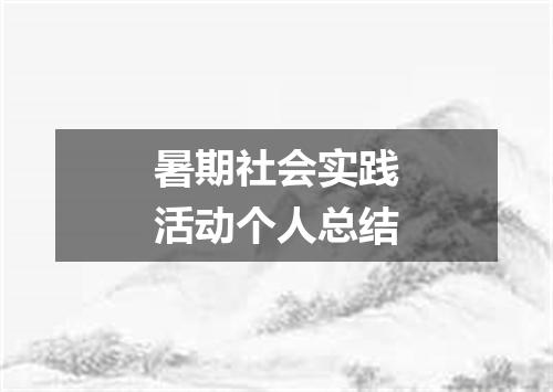 暑期社会实践活动个人总结