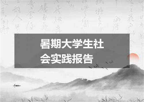 暑期大学生社会实践报告