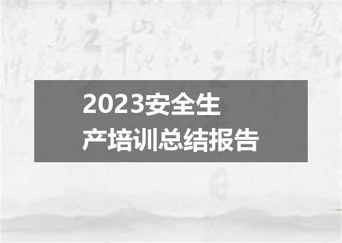 2023安全生产培训总结报告