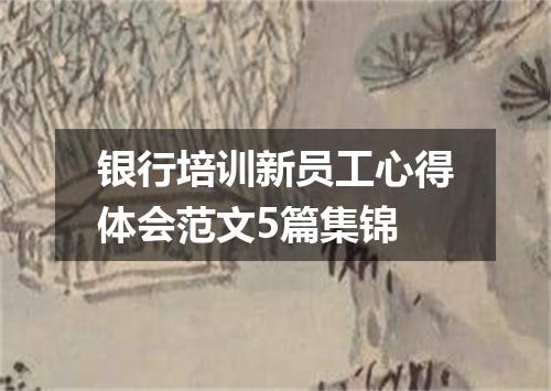 银行培训新员工心得体会范文5篇集锦