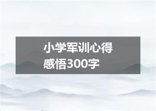 小学军训心得感悟300字
