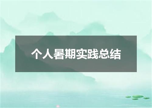 个人暑期实践总结