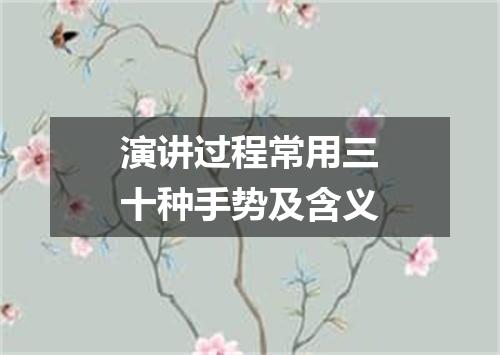 演讲过程常用三十种手势及含义