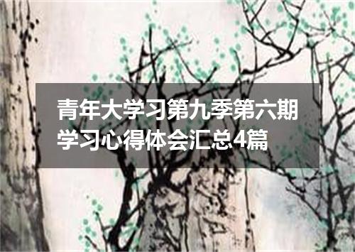青年大学习第九季第六期学习心得体会汇总4篇