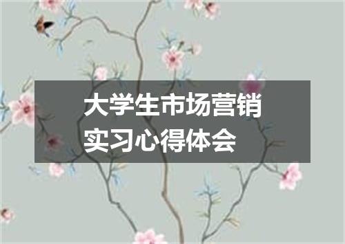 大学生市场营销实习心得体会