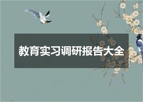 教育实习调研报告大全