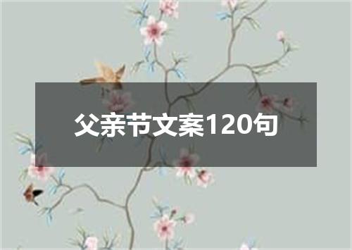 父亲节文案120句